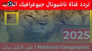 تردد قناة ناشيونال جيوغرافيك 2025 الآن لمتابعة أفضل البرامج الوثائقية بجودة عالية